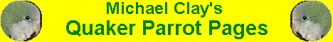 Michael Clay's Quaker Parrot Pages